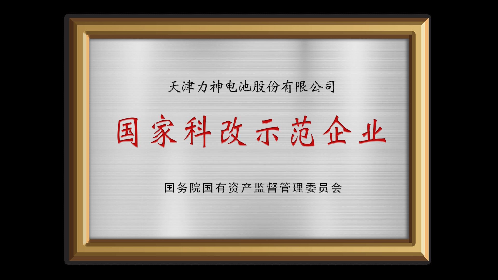 国家科改示范企业