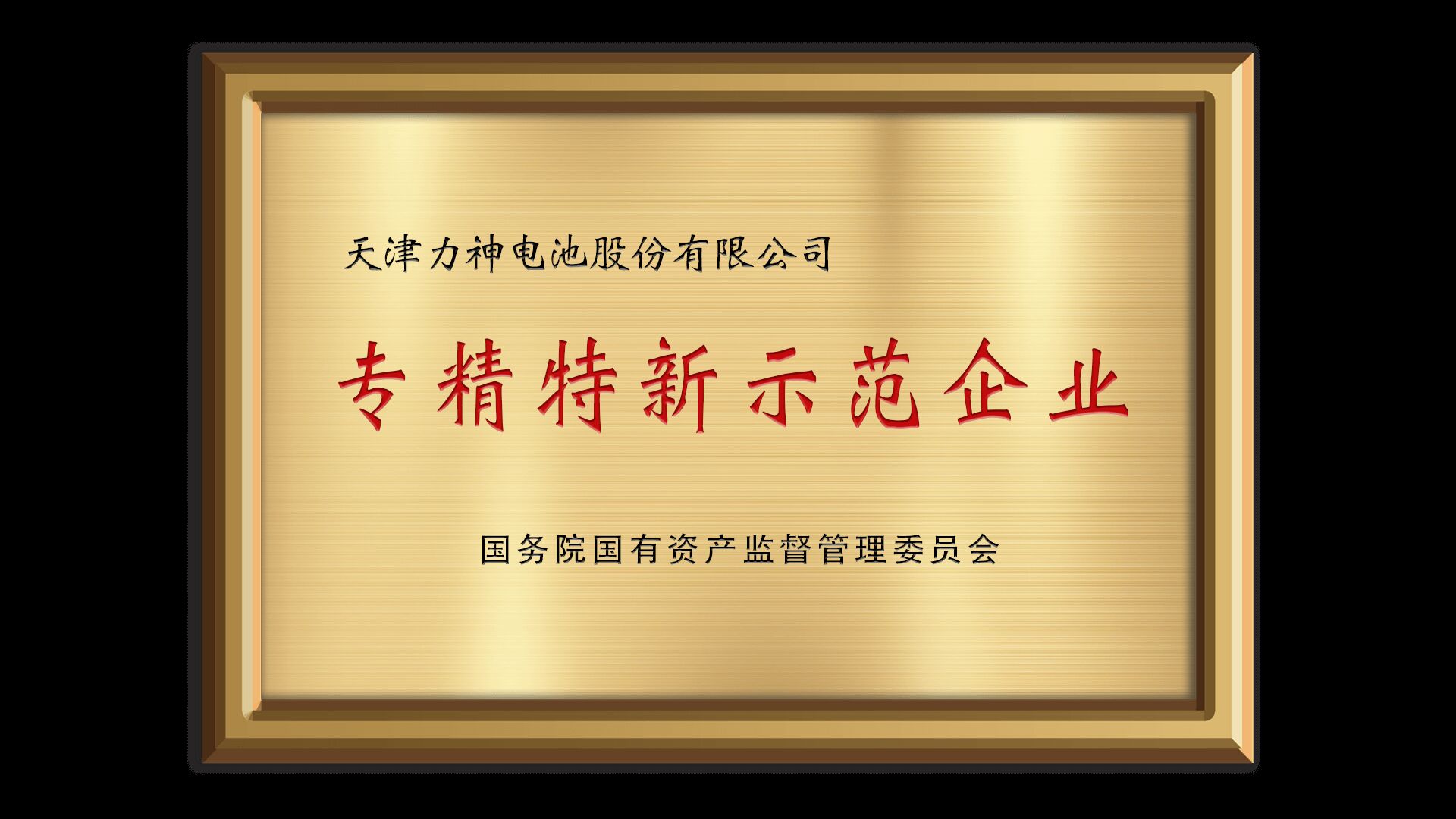 专精特新示范企业