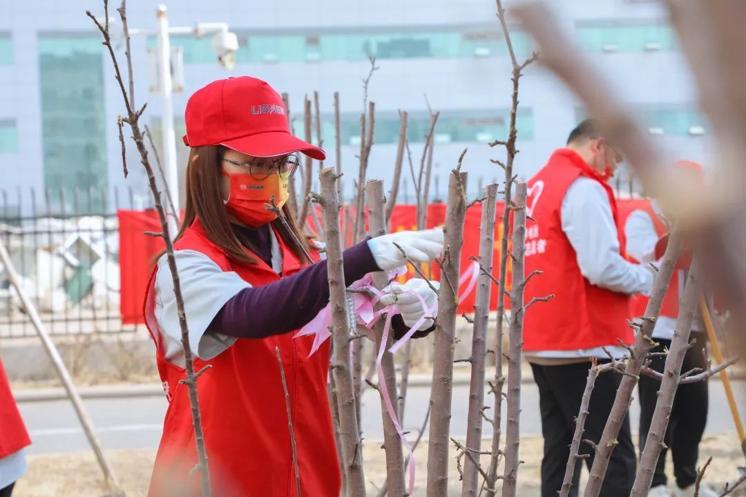 厚植绿色根基 助锂能源发展