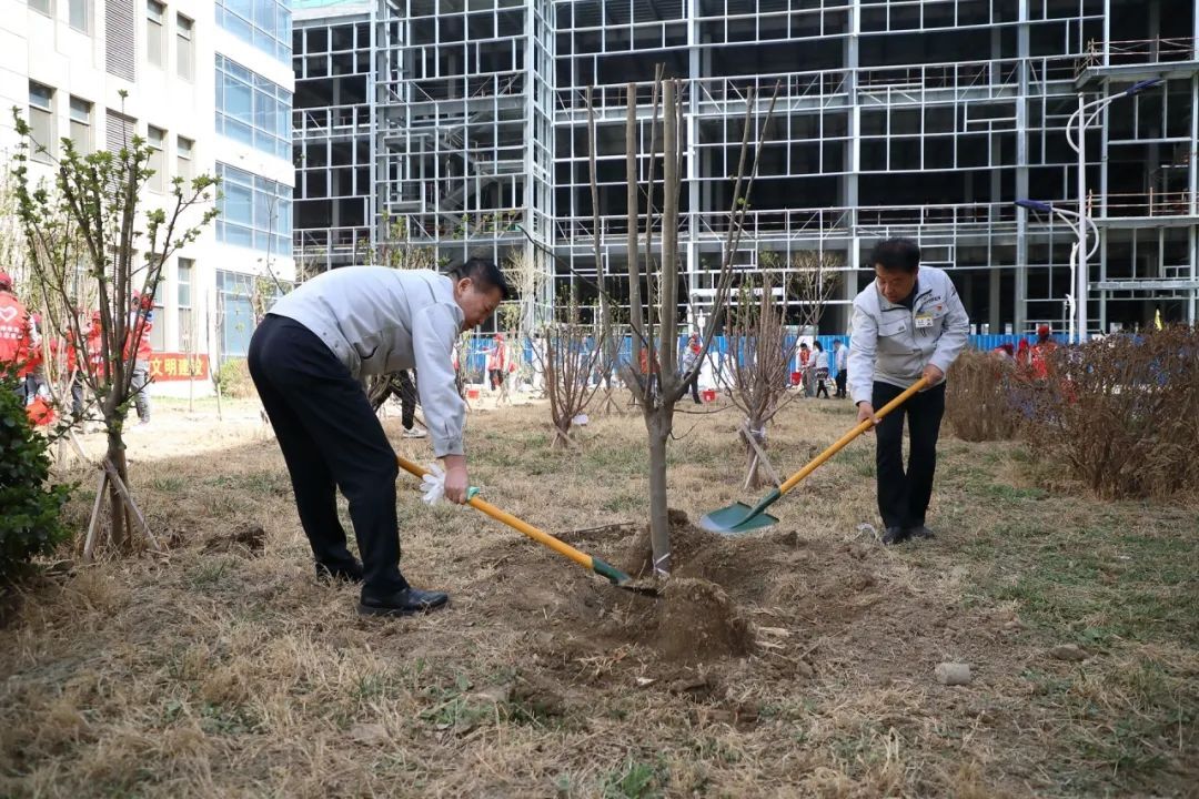 植树造林添新绿，齐心协力增活力